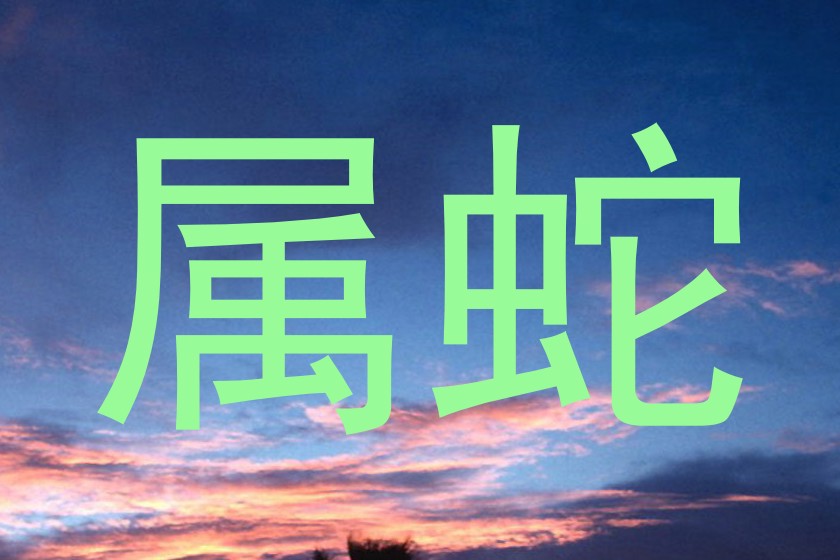 属蛇
