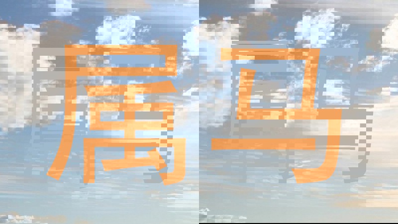 属马