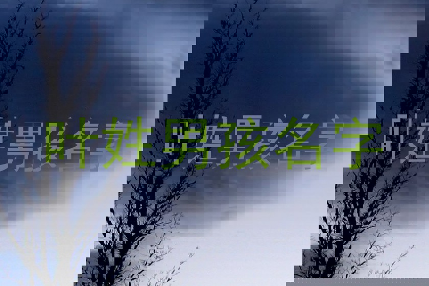 叶姓男孩名字