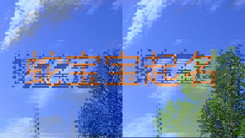 属蛇