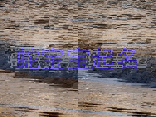 蛇宝宝起名