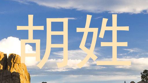 胡姓