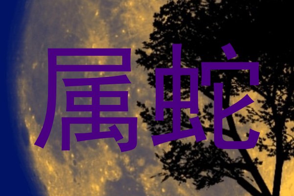 属蛇