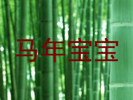 马年宝宝