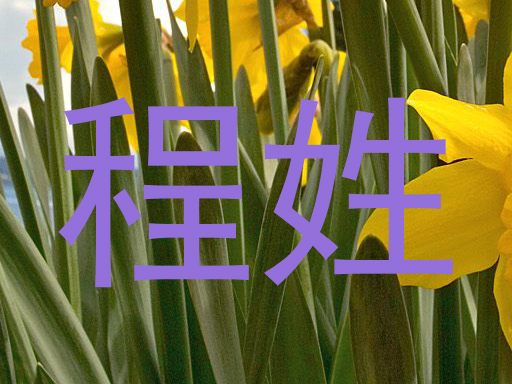 程姓