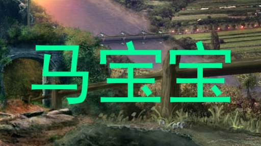 马宝宝