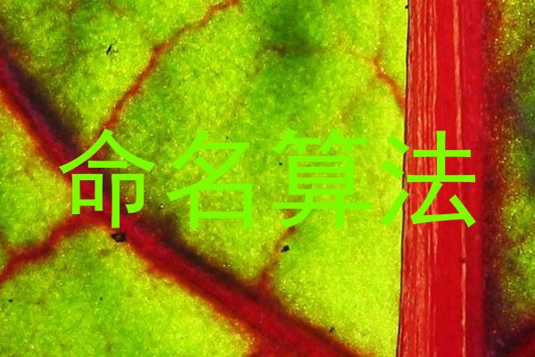 命名算法