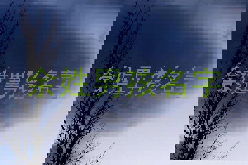 余姓男孩名字