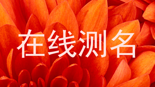在线测名