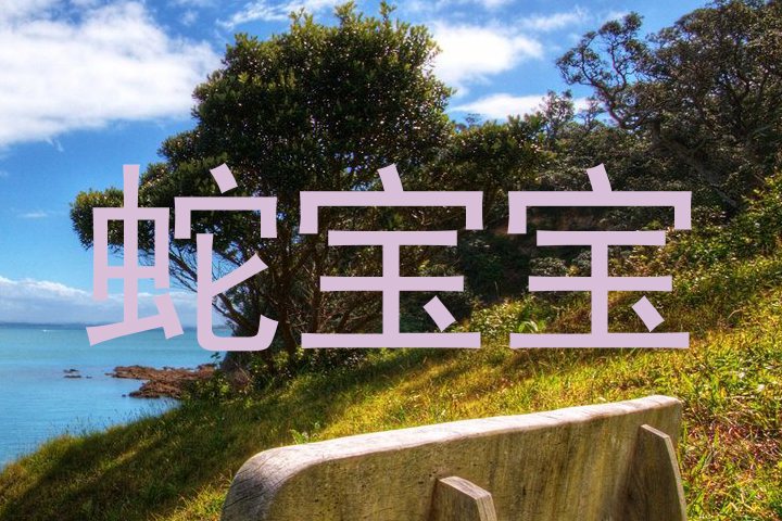 蛇宝宝