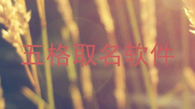 五格取名软件