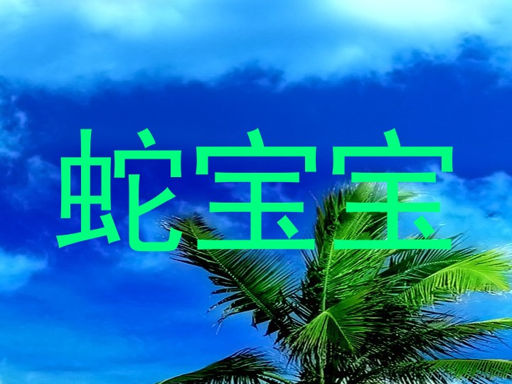 蛇宝宝