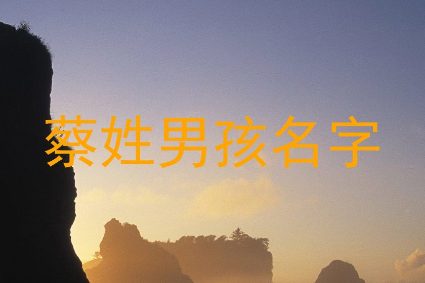 蔡姓男孩名字