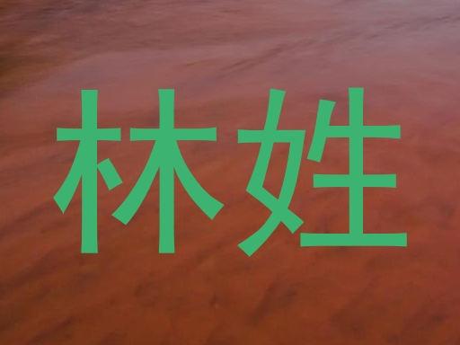 林姓