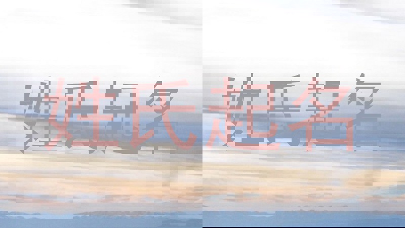 何姓