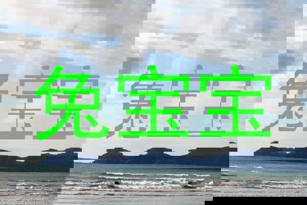 兔宝宝