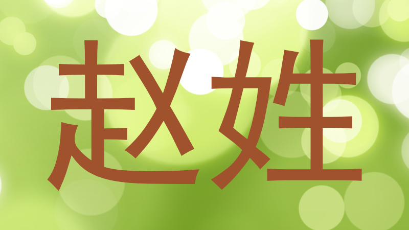 赵姓