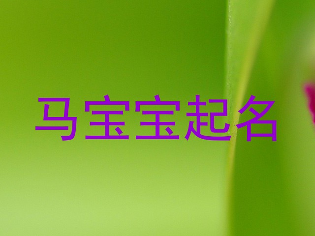 马宝宝起名