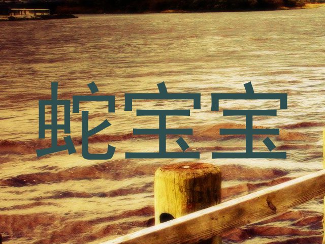 蛇宝宝