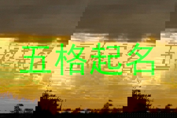 五格起名