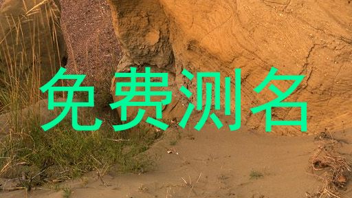 免费测名