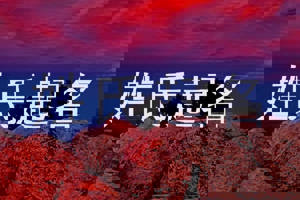 姓氏起名
