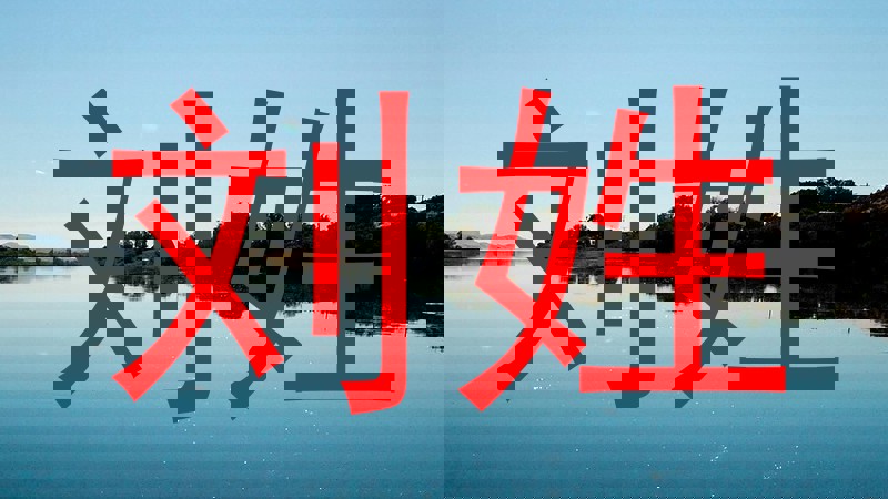 刘姓