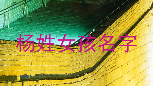 杨姓女孩名字