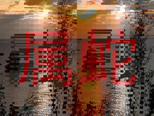 属蛇