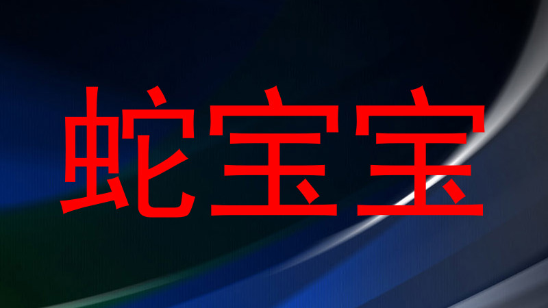 蛇宝宝