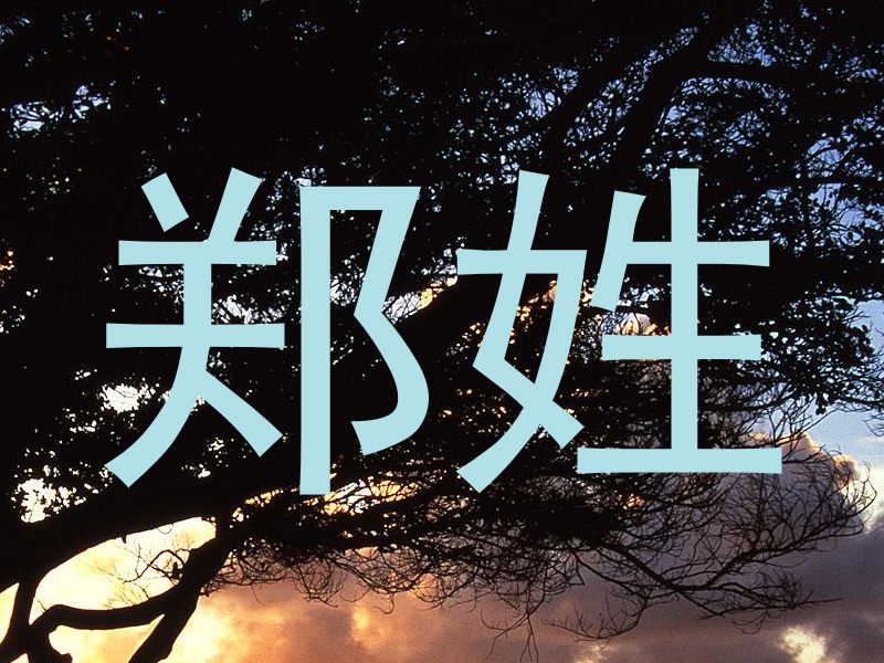 郑姓