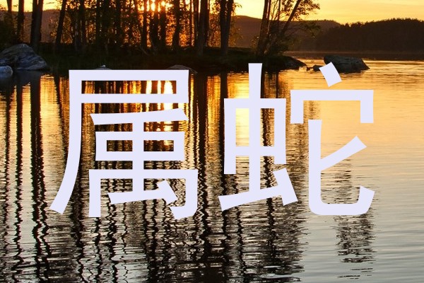 属蛇