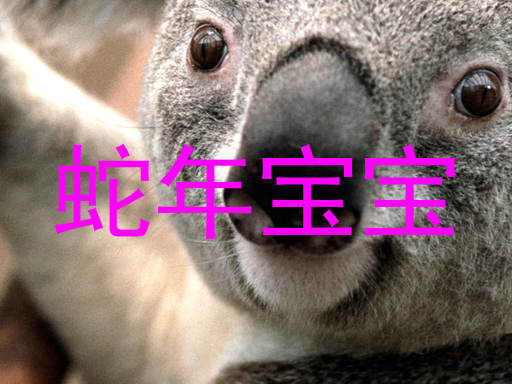 蛇年宝宝