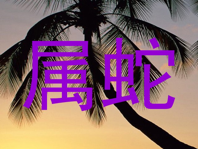 属蛇