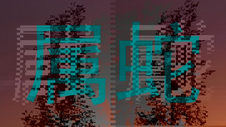 属蛇