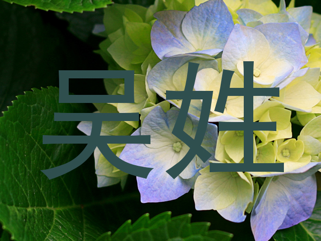 吴姓