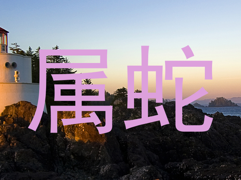 属蛇