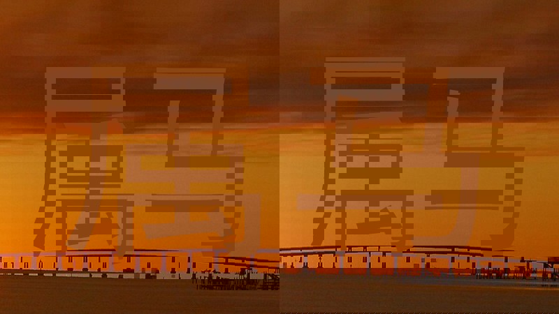 属马