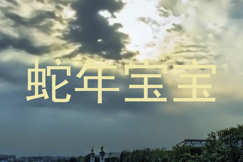 蛇年宝宝