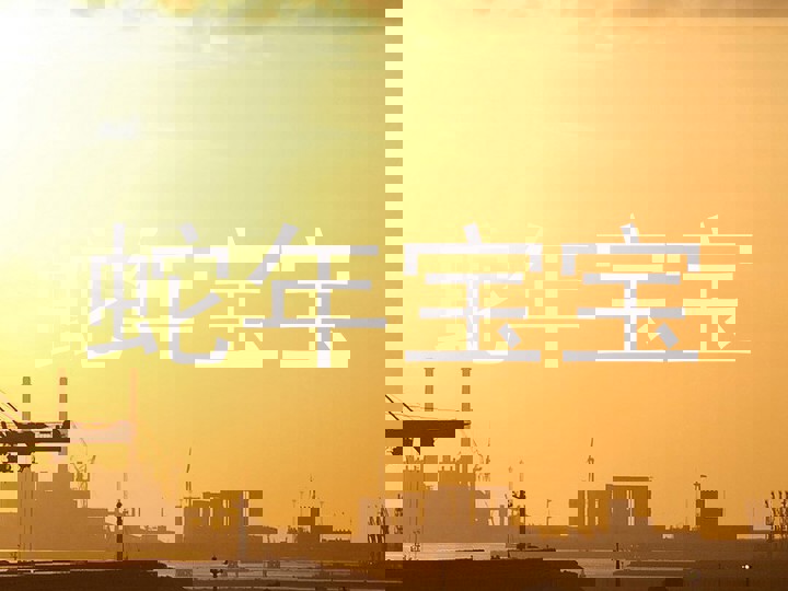 蛇年宝宝