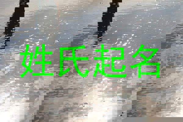 姓氏起名