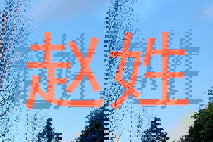 赵姓