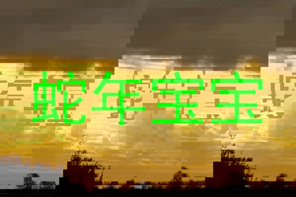 蛇年宝宝