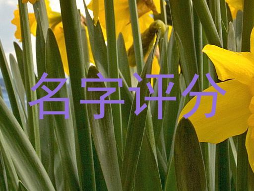 名字评分