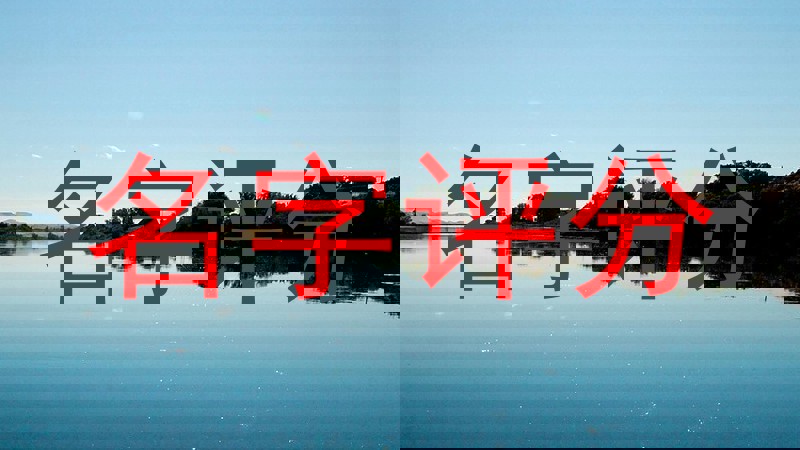 名字评分
