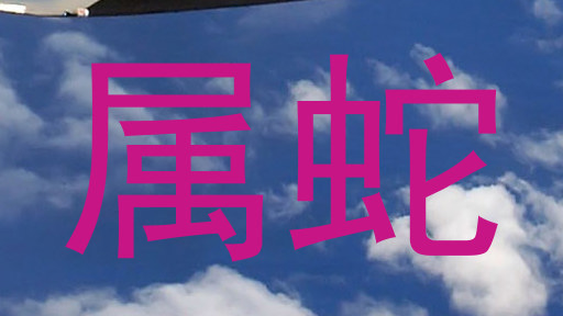 属蛇