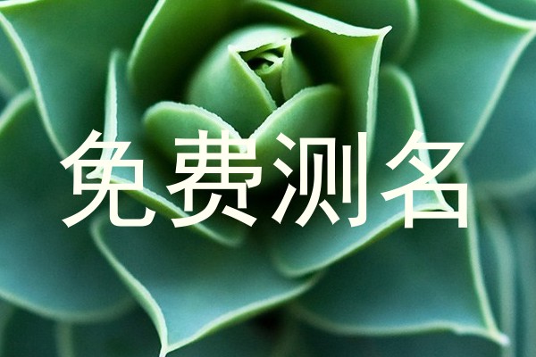 免费测名