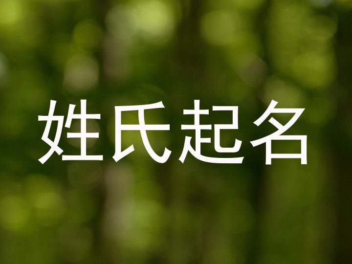姓氏起名