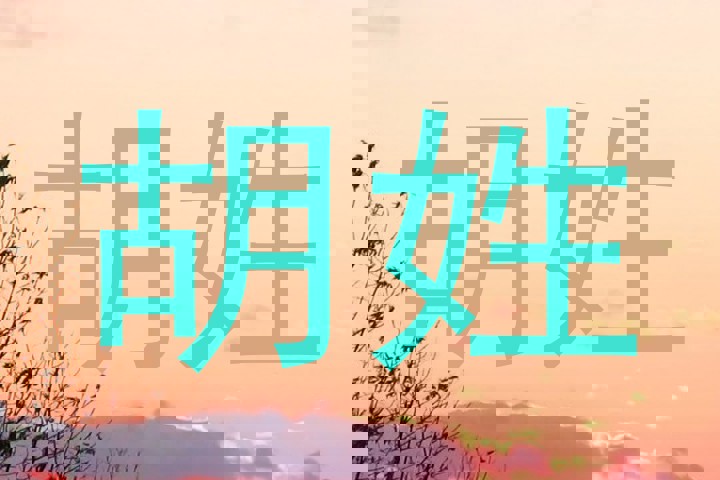 胡姓