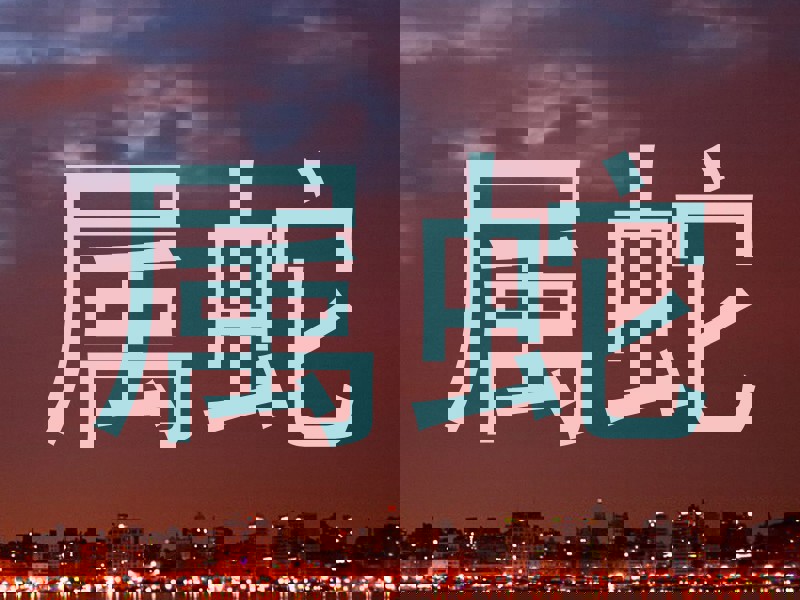 属蛇